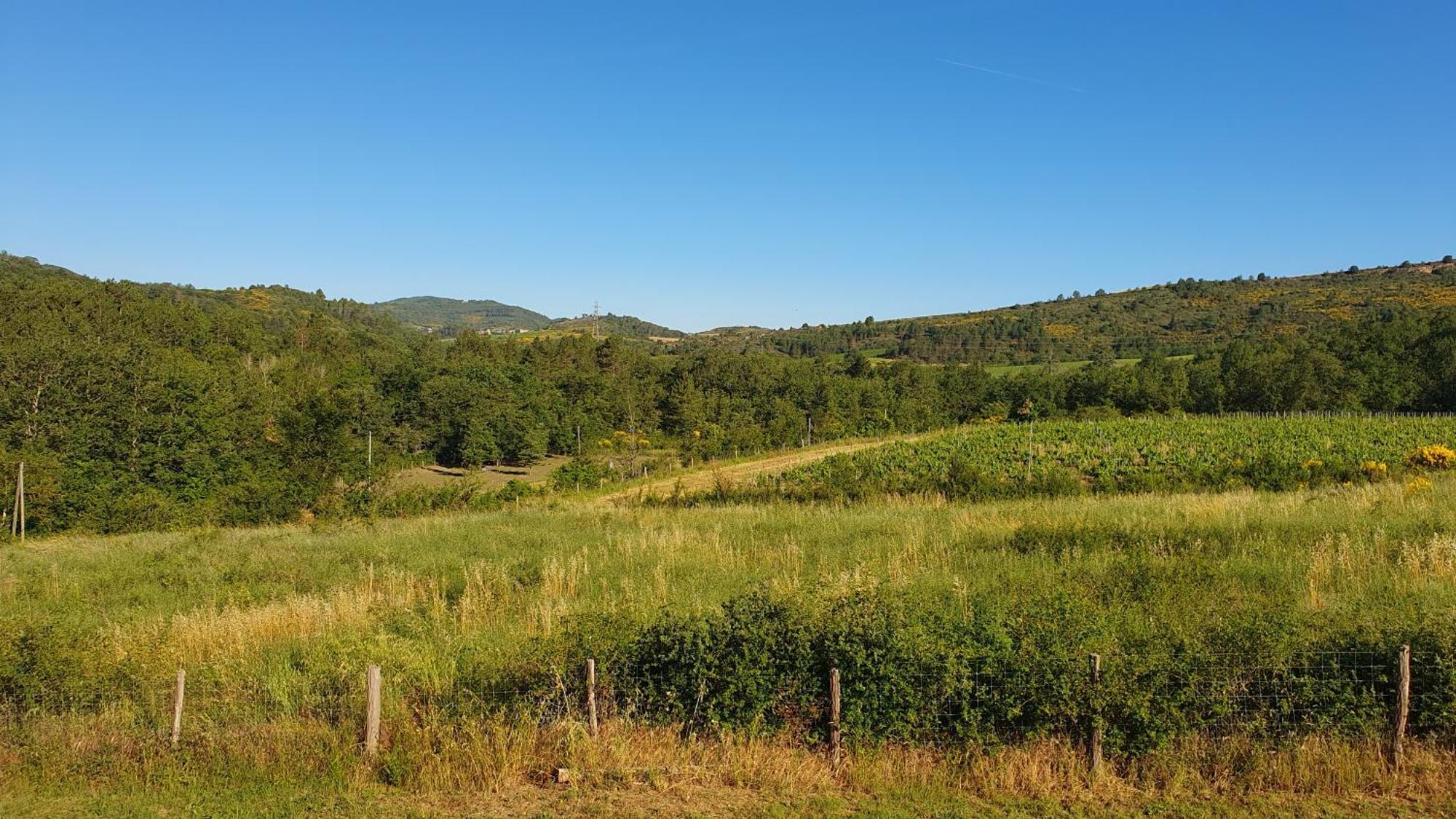Le De Berignac Holiday home Antugnac